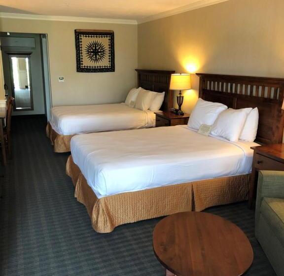 デラックスルーム, Birdinhand Family Inn