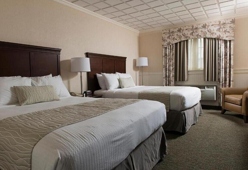 デラックスルーム, Birdinhand Family Inn