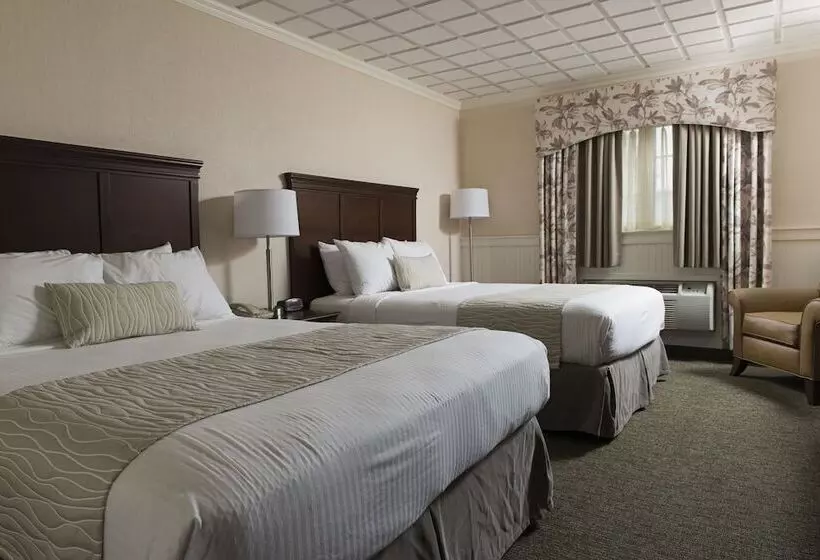 デラックスルーム, Birdinhand Family Inn