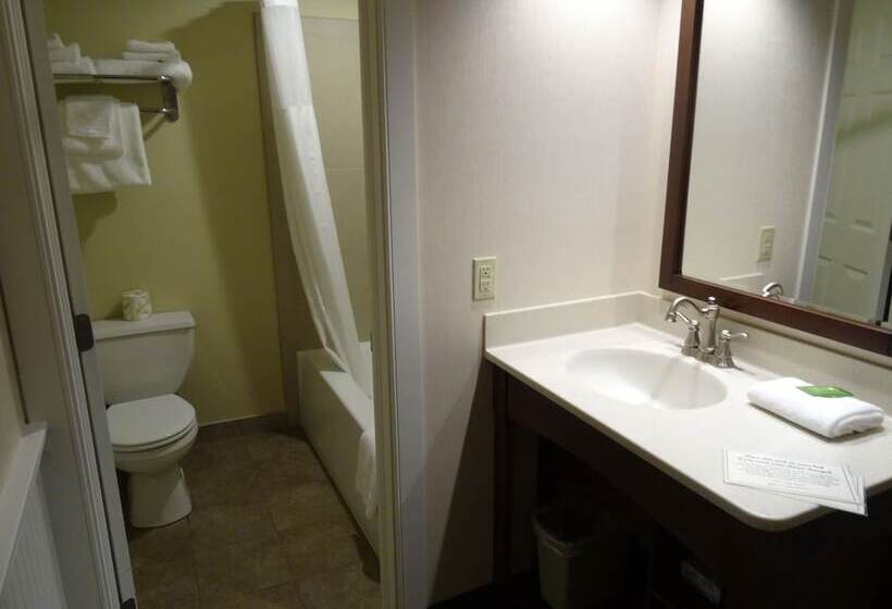 デラックスルーム, Birdinhand Family Inn