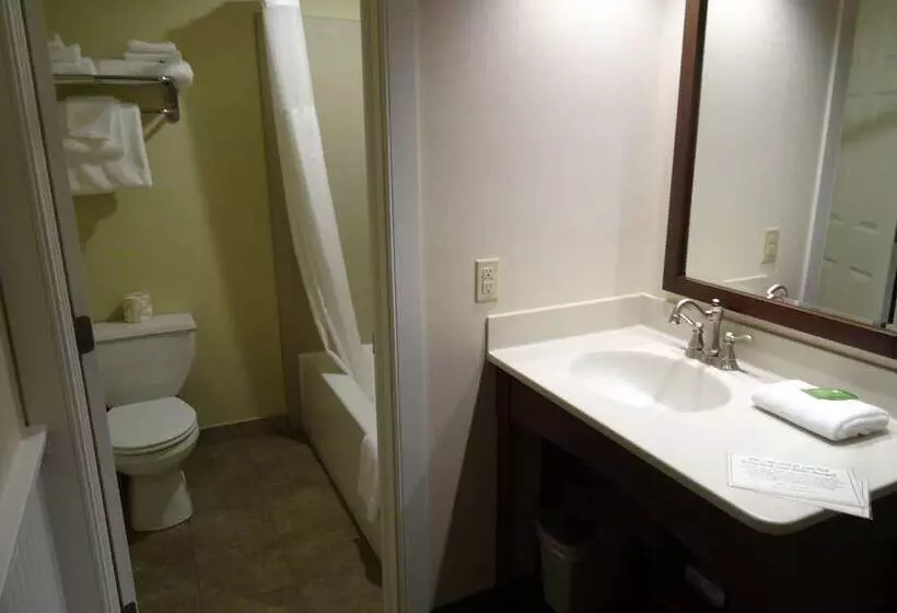 デラックスルーム, Birdinhand Family Inn