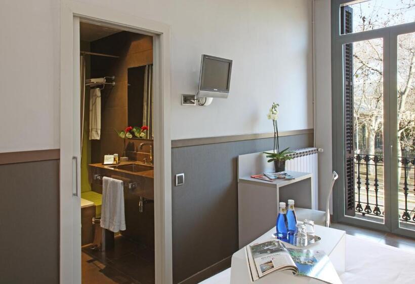 Номер Superior, Chic & Basic Zoo