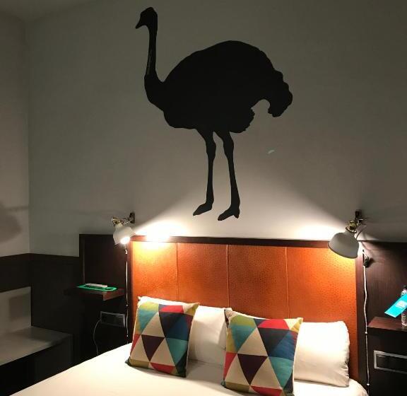 اتاق اکونومی, Chic & Basic Zoo