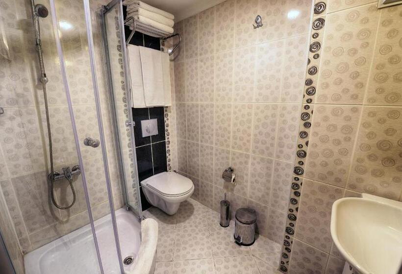 اتاق سوپریور سه تخته, New Florenta