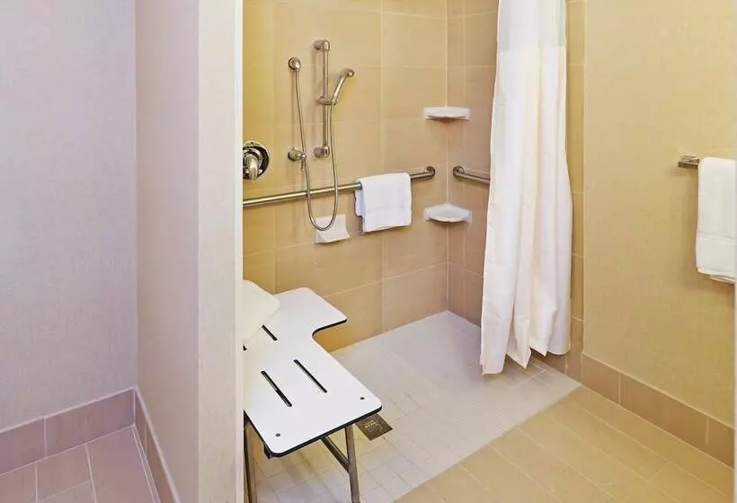 キングサイズベッドのスタンダードルーム, Hilton Garden Inn Midland