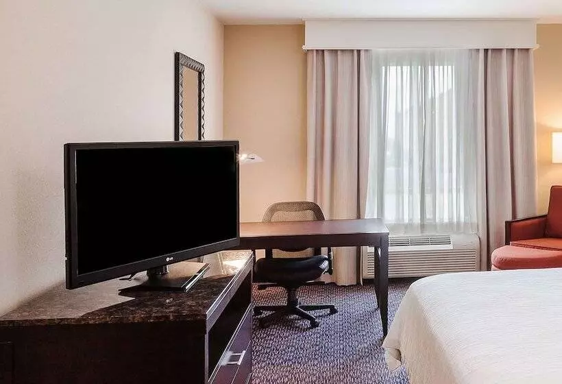 キングサイズベッドのスタンダードルーム, Hilton Garden Inn Midland