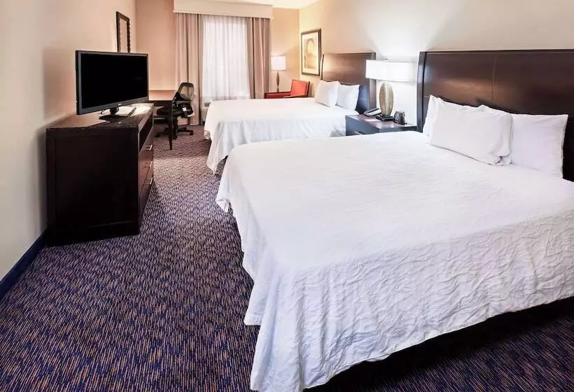 キングサイズベッドのスタンダードルーム, Hilton Garden Inn Midland