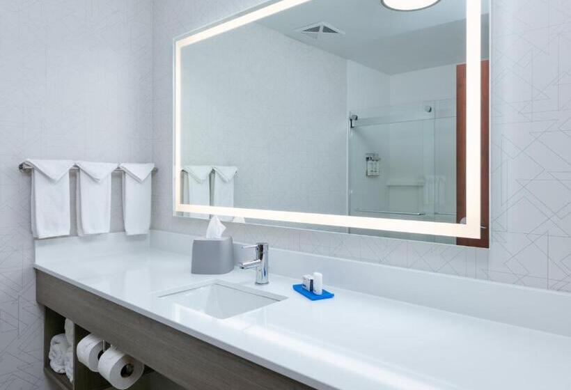 Quarto Estandar Cama King, Holiday Inn Express Hotel & Suites Shakopee, An Ihg