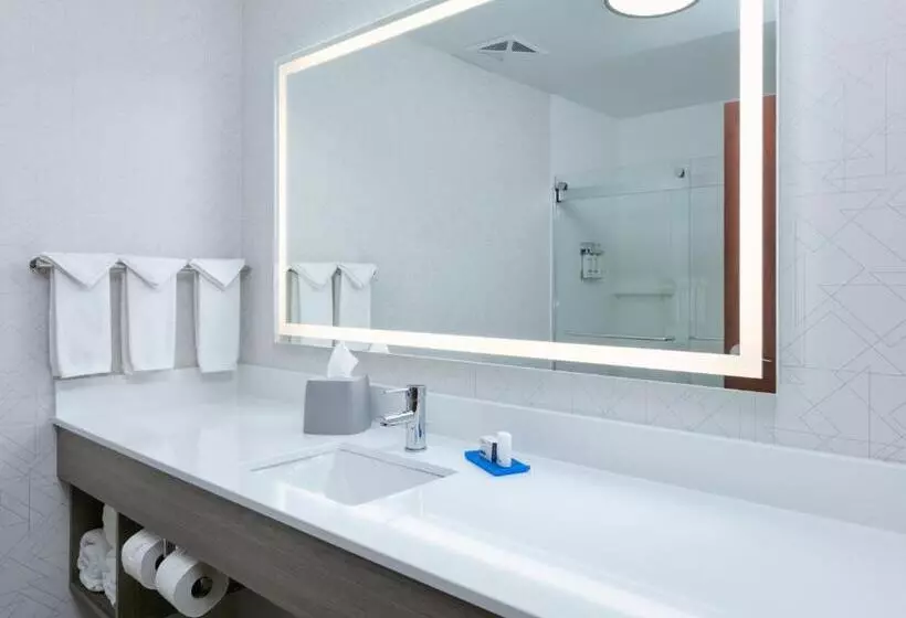 身障者適用キングサイズベッドルーム, Holiday Inn Express Hotel & Suites Shakopee, An Ihg