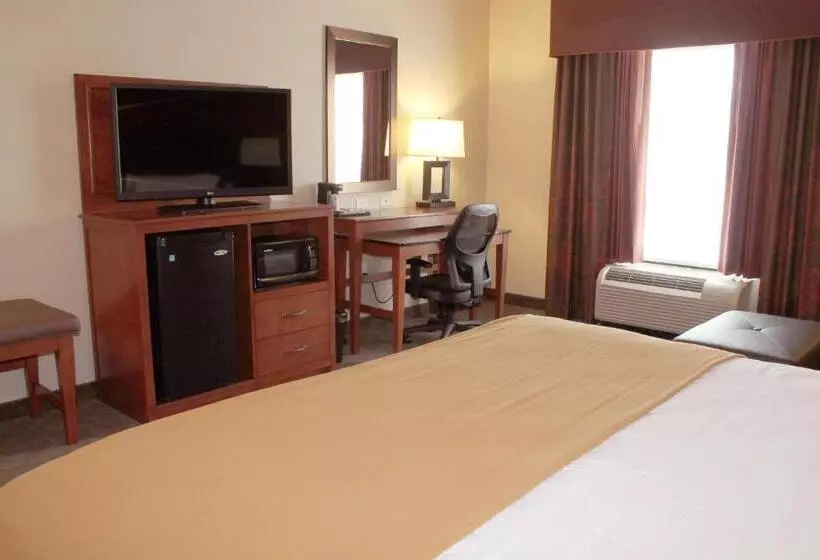 اتاق استاندارد با تخت بزرگ برای معلولان, Holiday Inn Express & Suites Paducah West, An Ihg