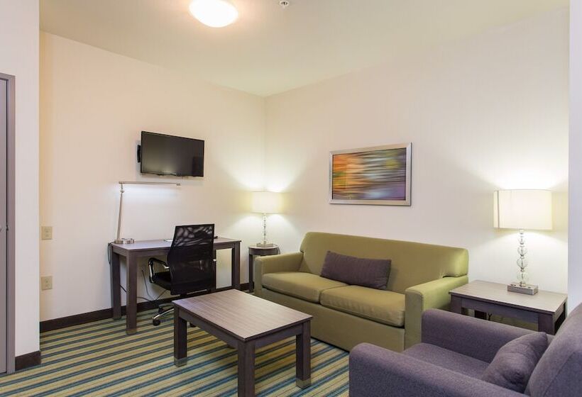 سوییت, Holiday Inn Texarkana Arkansas Convention Center, An Ihg