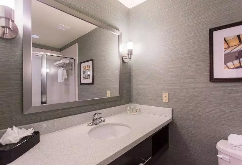 スイート, Holiday Inn Texarkana Arkansas Convention Center, An Ihg