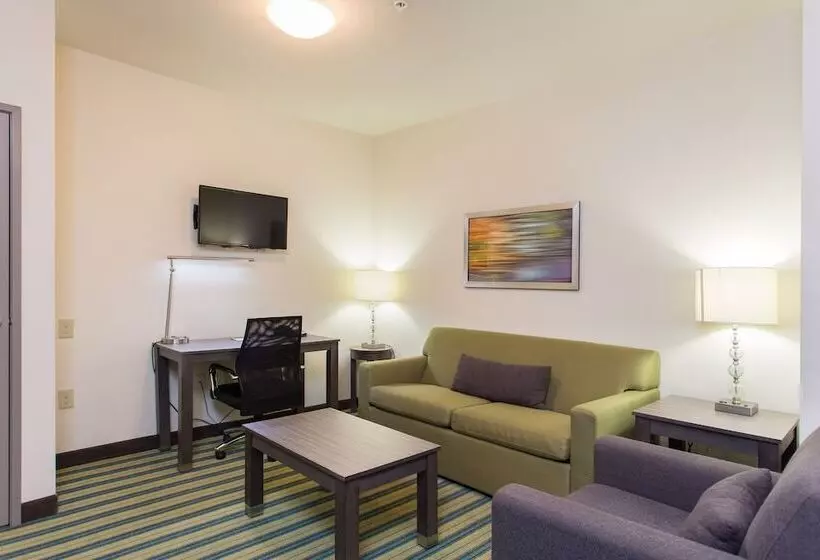 身障者適用スイートルーム, Holiday Inn Texarkana Arkansas Convention Center, An Ihg