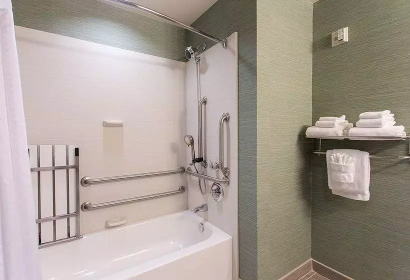身障者適用スイートルーム, Holiday Inn Texarkana Arkansas Convention Center, An Ihg