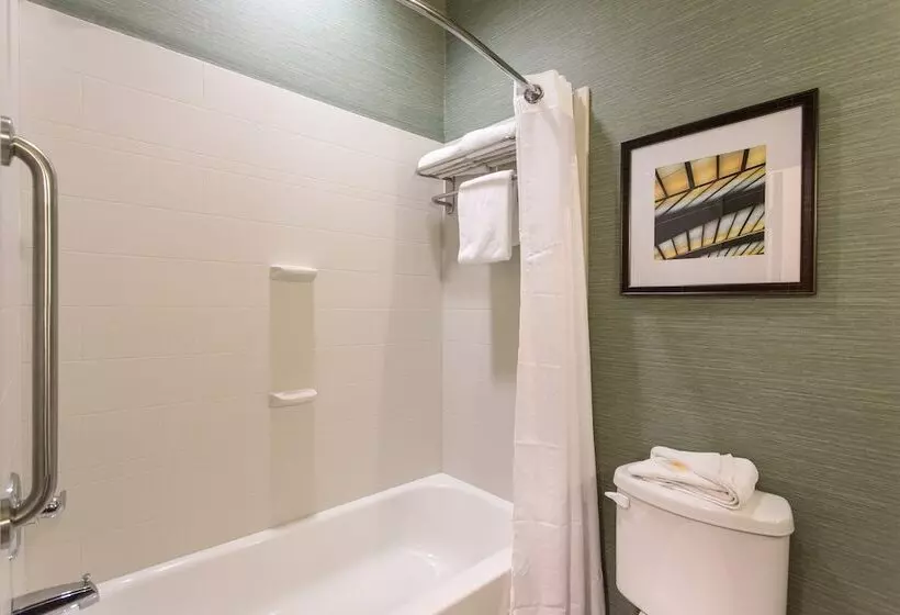 身障者適用スイートルーム, Holiday Inn Texarkana Arkansas Convention Center, An Ihg