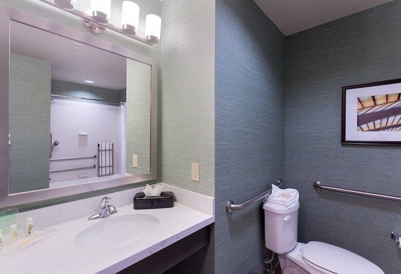 سوئیت برای معلولان, Holiday Inn Texarkana Arkansas Convention Center, An Ihg