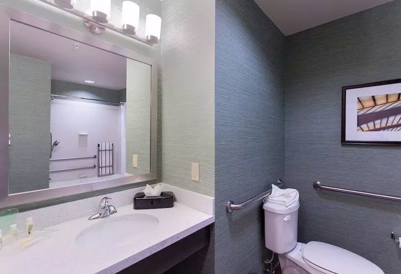 身障者適用スイートルーム, Holiday Inn Texarkana Arkansas Convention Center, An Ihg