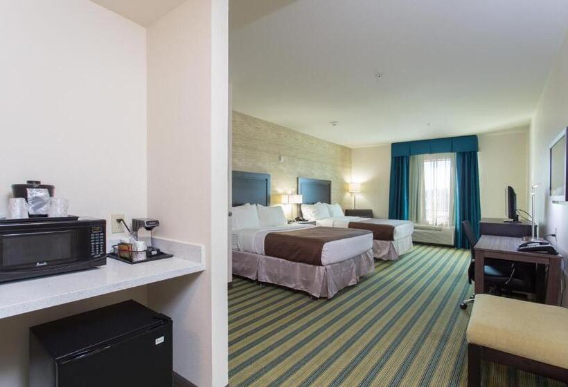 Номер Стандарт, Holiday Inn Texarkana Arkansas Convention Center, An Ihg