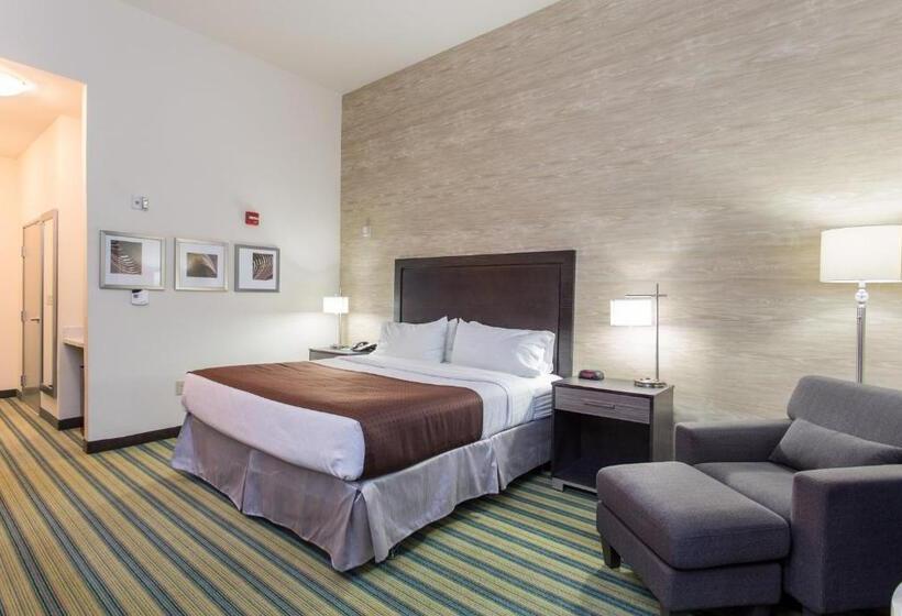 Стандартный Номер Кровать Кинг, Holiday Inn Texarkana Arkansas Convention Center, An Ihg