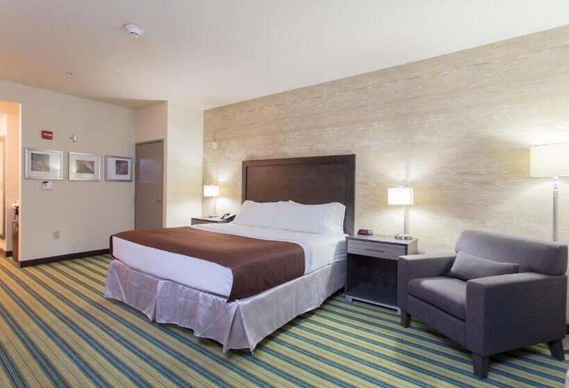 اتاق استاندارد, Holiday Inn Texarkana Arkansas Convention Center, An Ihg
