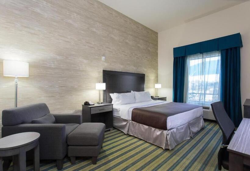 غرفة قياسية سرير كينج لذوى الإحتياجات الخاصة, Holiday Inn Texarkana Arkansas Convention Center, An Ihg