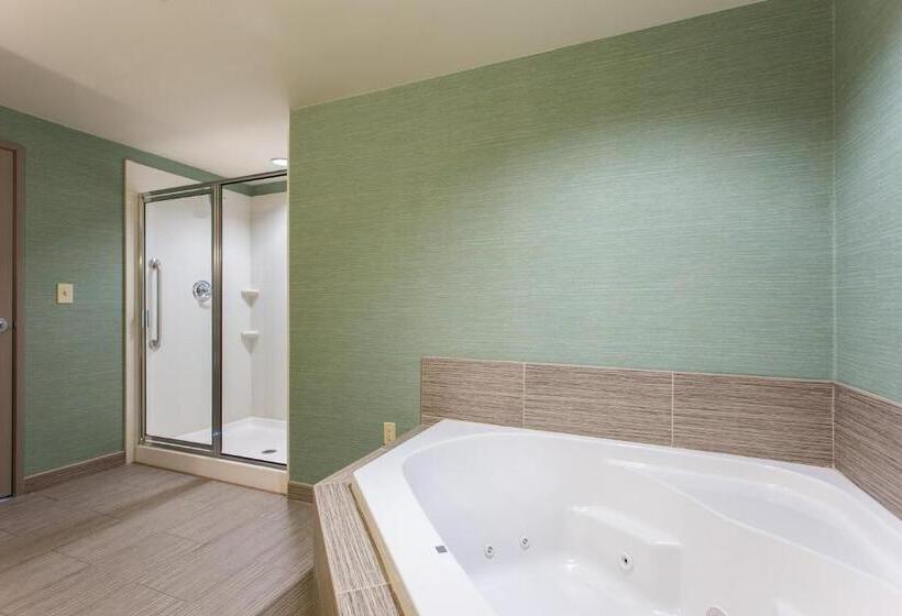 Президентский Люкс, Holiday Inn Texarkana Arkansas Convention Center, An Ihg