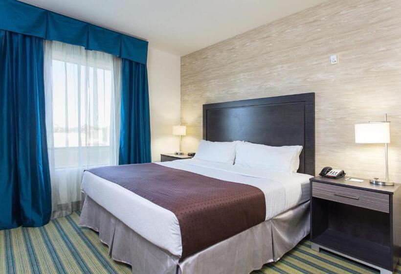 جناح لذوى الاحتياجات الخاصة, Holiday Inn Texarkana Arkansas Convention Center, An Ihg