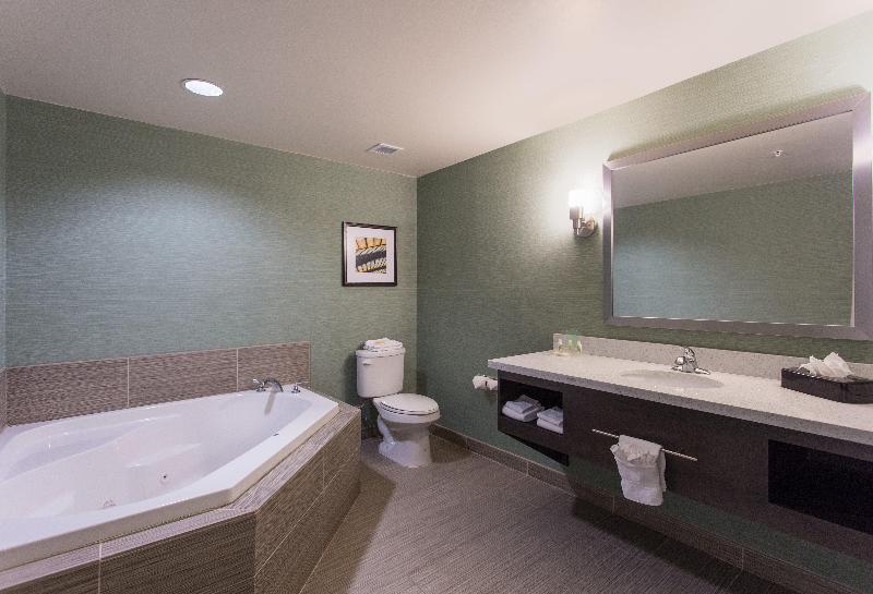 جناح إدارى, Holiday Inn Texarkana Arkansas Convention Center, An Ihg