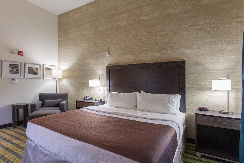 اتاق اجرایی با تخت بزرگ, Holiday Inn Texarkana Arkansas Convention Center, An Ihg