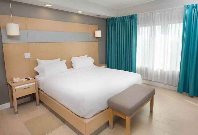 آپارتمان سوپریور 1 خوابه, Royal Oasis