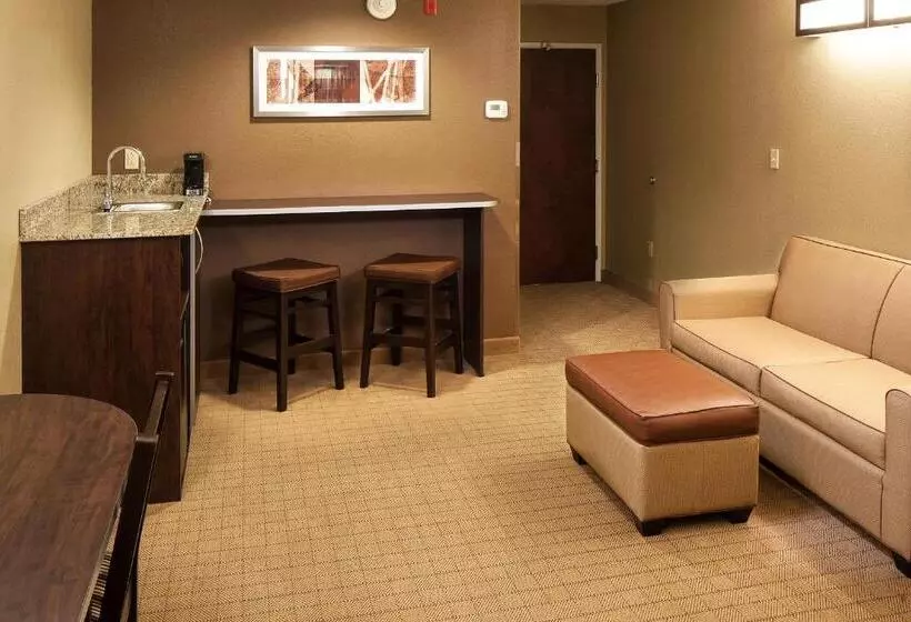 Deluxe Suite King Bed, Microtel Inn & Suites By Wyndham St Clairsville Wheeling