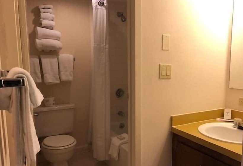 شقة سوبريور غرفة واحدة, Evergreen Valley Inn