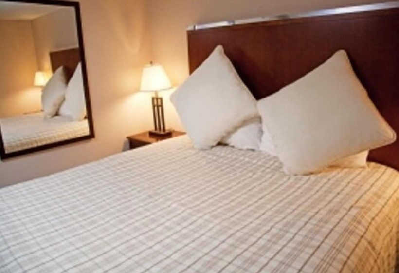 شقة غرفة واحدة, Evergreen Valley Inn