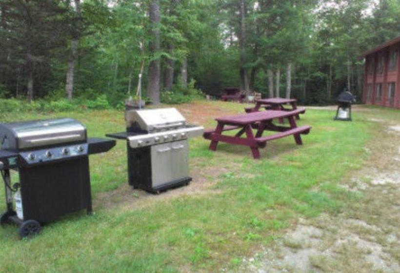 شقة غرفة واحدة, Evergreen Valley Inn