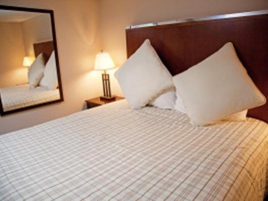 شقة غرفة واحدة, Evergreen Valley Inn