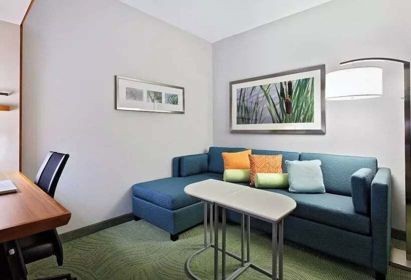 スタンダードスタジオ, Springhill Suites By Marriott Pensacola