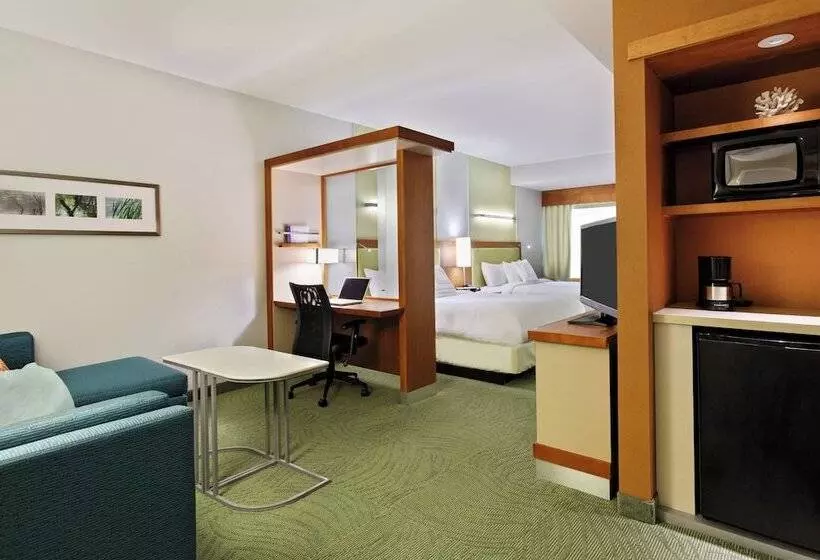 スタンダードスタジオ, Springhill Suites By Marriott Pensacola