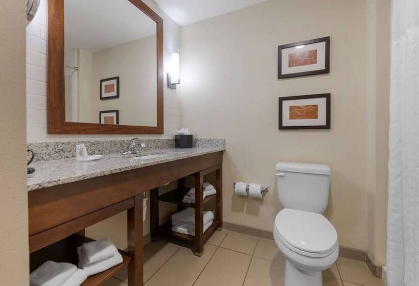 Люкс, Comfort Suites And Conference Center