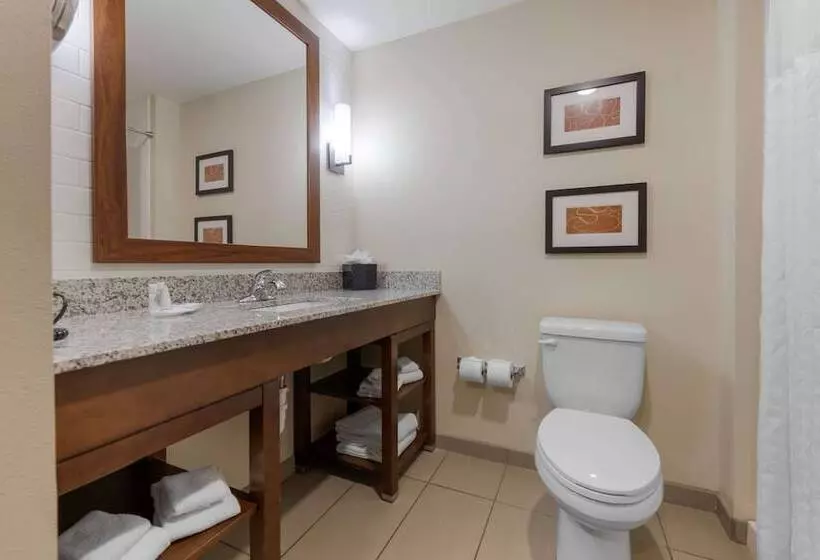 スイート, Comfort Suites And Conference Center