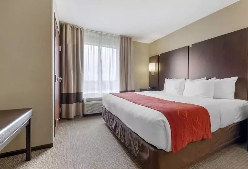 スイート, Comfort Suites And Conference Center