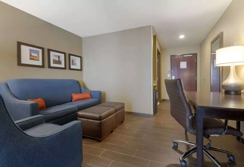 スイート, Comfort Suites And Conference Center