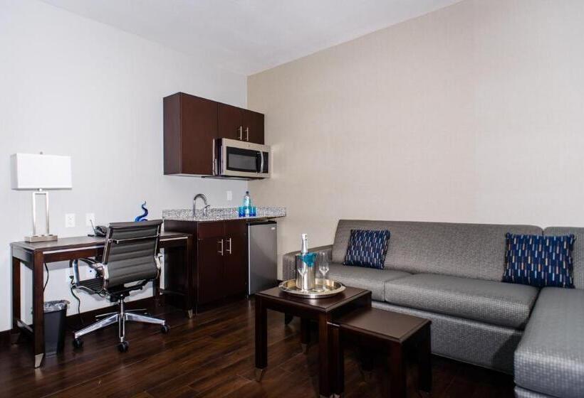 Sviitti King-vuode, Holiday Inn Express Hotel & Suites Austin Nw   Arboretum Area, An Ihg