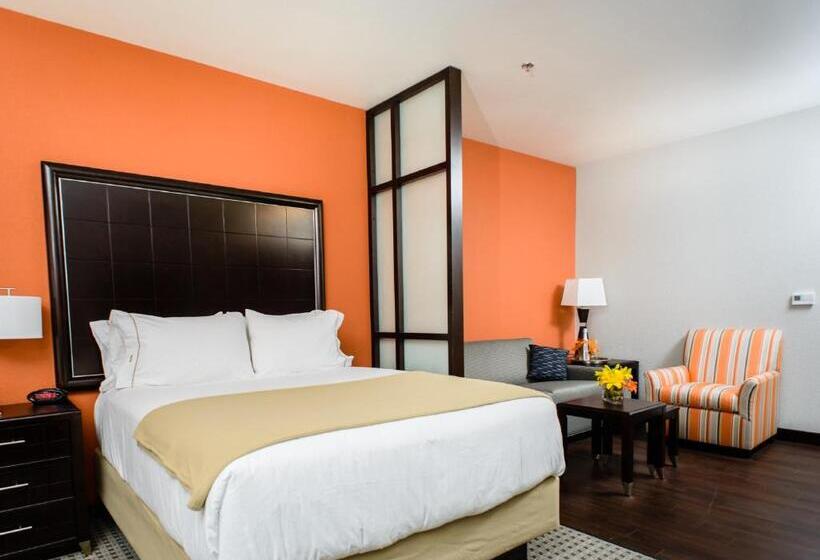 Sviitti, Holiday Inn Express Hotel & Suites Austin Nw   Arboretum Area, An Ihg