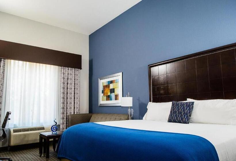 Standard-invahuone King-vuode, Holiday Inn Express Hotel & Suites Austin Nw   Arboretum Area, An Ihg