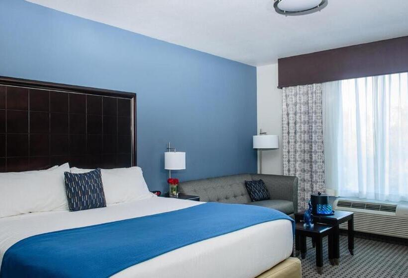 Executive-huone King-vuode, Holiday Inn Express Hotel & Suites Austin Nw   Arboretum Area, An Ihg