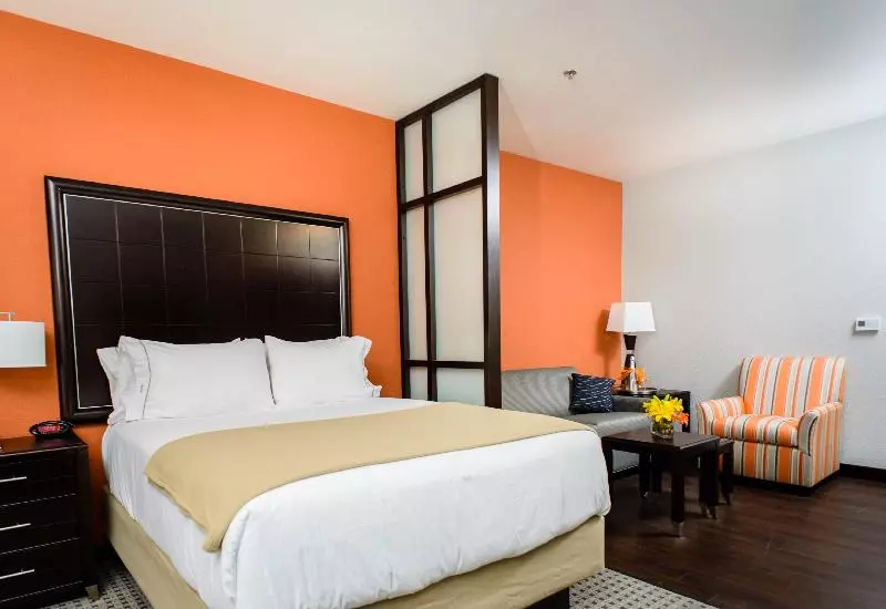 スイート, Holiday Inn Express Hotel & Suites Austin Nw   Arboretum Area, An Ihg