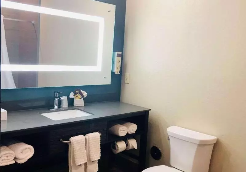 身障者適用スイートルーム, Holiday Inn Express Hotel & Suites Austin Nw   Arboretum Area, An Ihg
