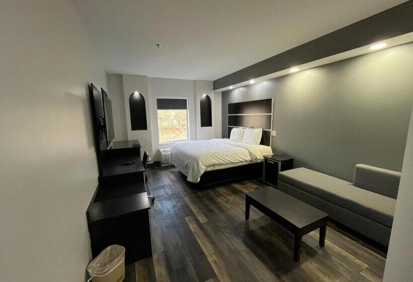 اتاق استاندارد با تخت بزرگ برای معلولان, Sonesta Essential Savannah