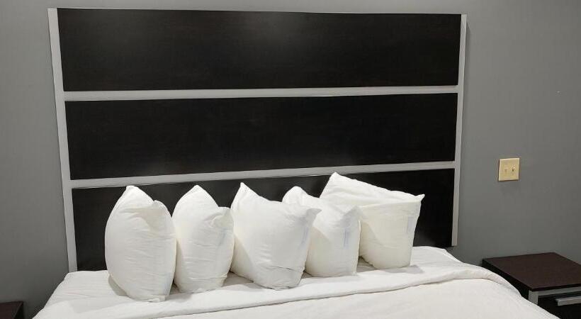 اتاق استاندارد با تخت بزرگ, Sonesta Essential Savannah