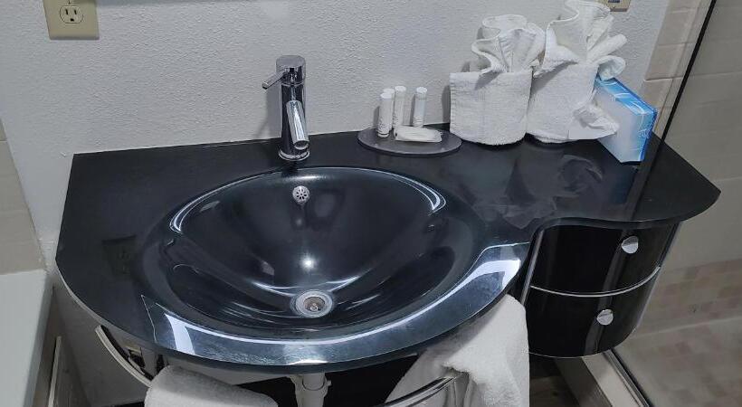 سوئیت برای معلولان, Sonesta Essential Savannah